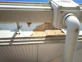 下地が見えている鼻隠し